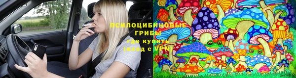 ECSTASY Абинск