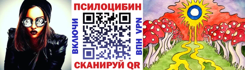продажа наркотиков  Томари  Псилоцибиновые грибы Cubensis 